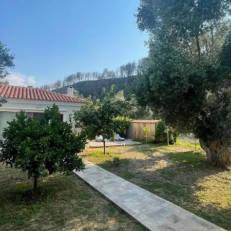 Сasa de vacaciones σπίτι μέσα στο δάσος *